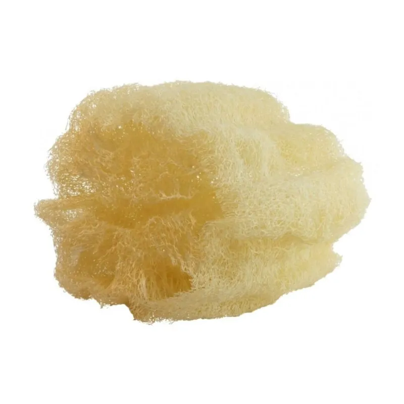 Raw Loofah