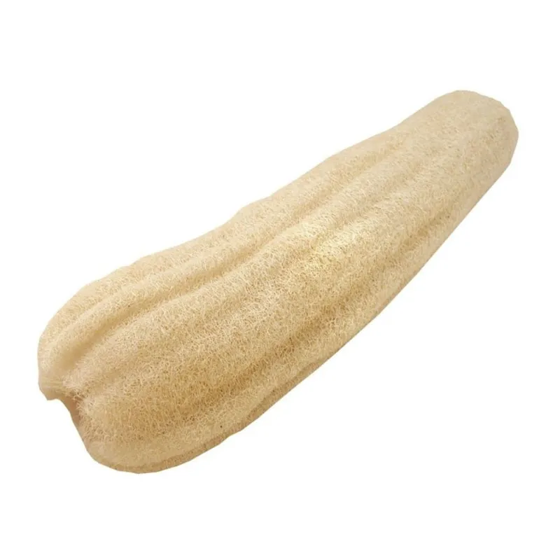 Raw Natural Loofah