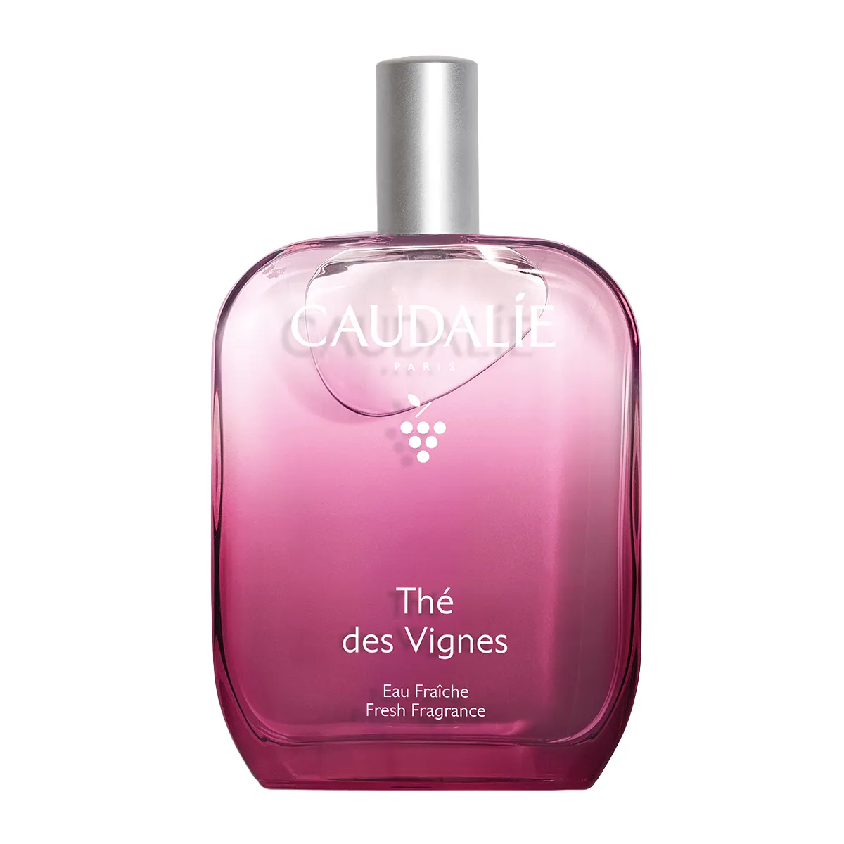 Thé des Vignes Fresh Fragrance