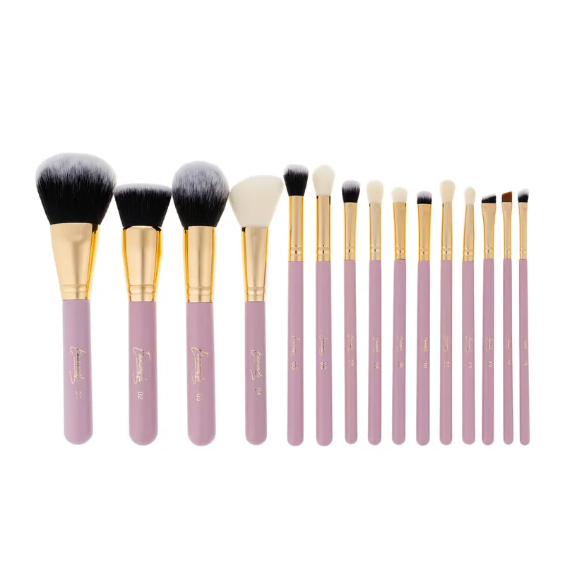 The Pro Makeup Brush Set