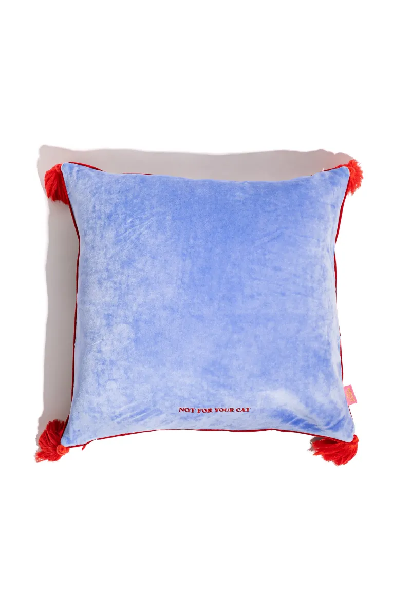 Pillow Case (Not For Your Cat)