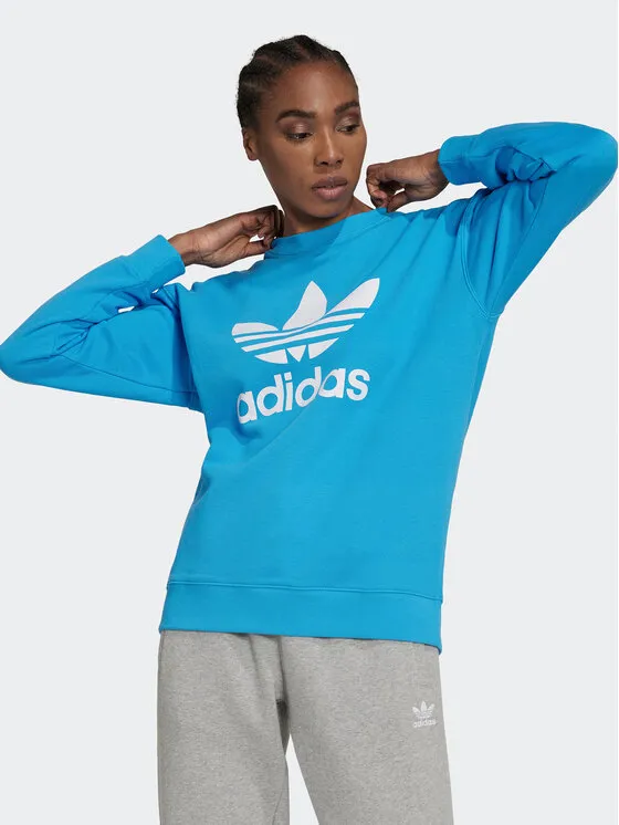 Μπλούζα · Μπλε · Regular Fit