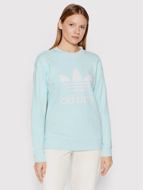 Μπλούζα · Μπλε · Regular Fit