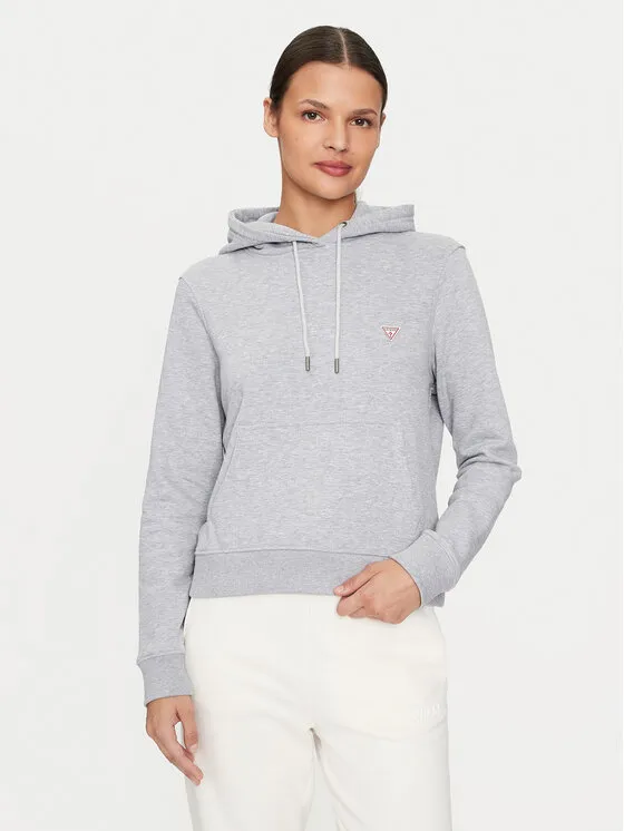 Μπλούζα · Γκρι · Regular Fit