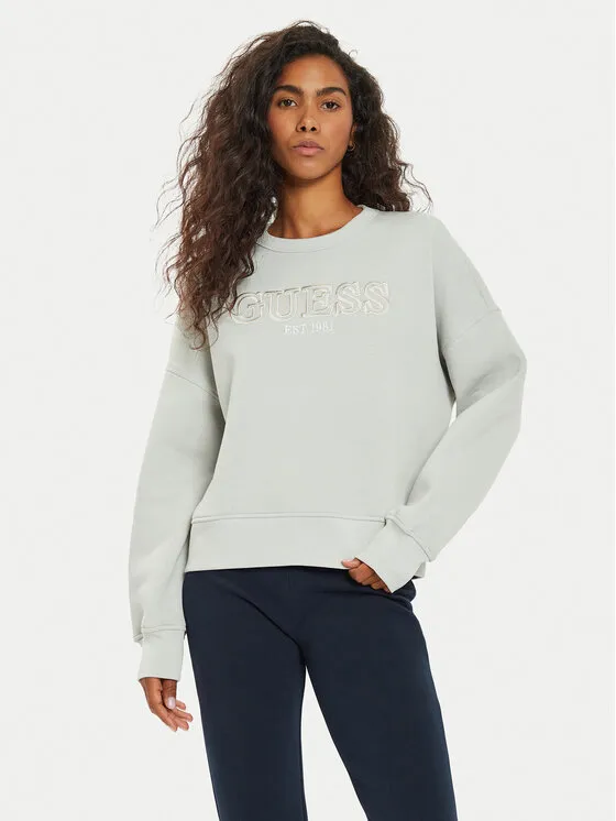 Μπλούζα · Γκρι · Regular Fit
