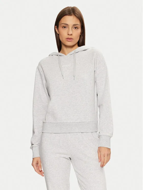 Μπλούζα · Γκρι · Regular Fit