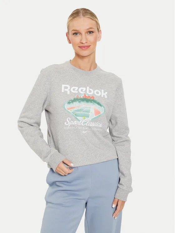 Μπλούζα · Γκρι · Regular Fit