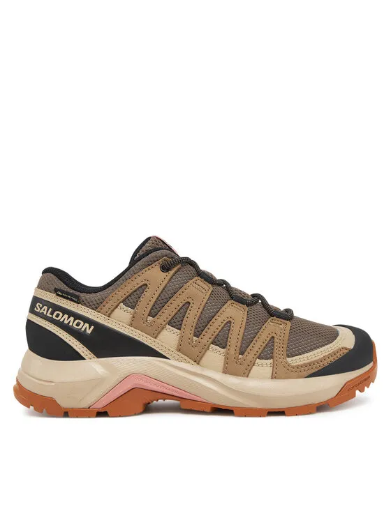 Παπούτσια πεζοπορίας · X-Adventure Recon Gore Tex L47815500 · Καφέ