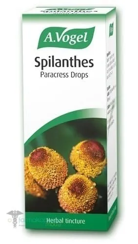A. Vogel Spilanthes Φυτική Ενισχυτικό του Οργανισμού για την Καταπολέμηση των Μυκήτων Βάμμα από Φρέσκο Σπιλάνθες, 50ml