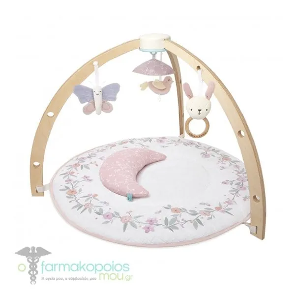 Aden + Anais Baby Activity Gym Ma Fleur, 1pc