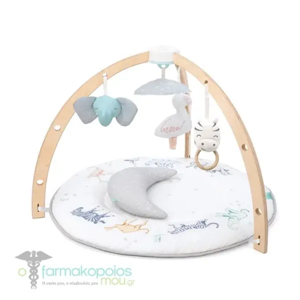 Aden + Anais Baby Activity Gym Rising Star, 1pc