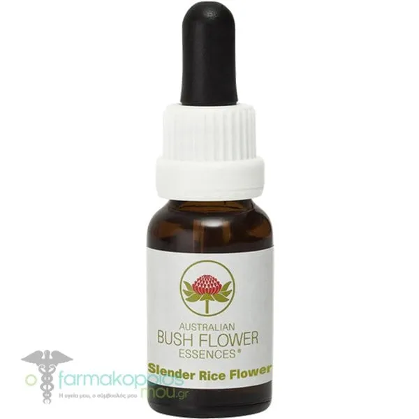Australian Slender Rice Flower Bush, 15ml