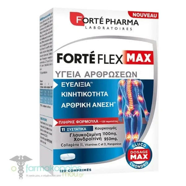 Forte Pharma Forte Flex Max Articulations, 120caps