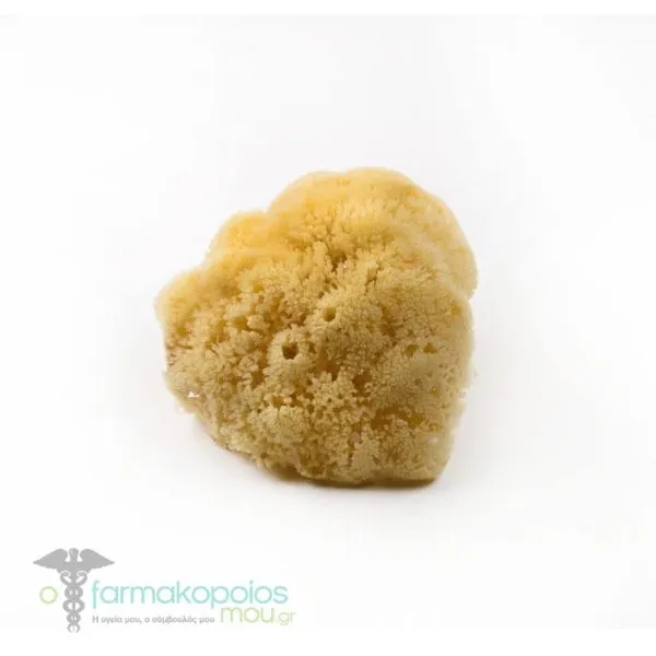 Gerakios Natural Sponges Ν4, 1pc
