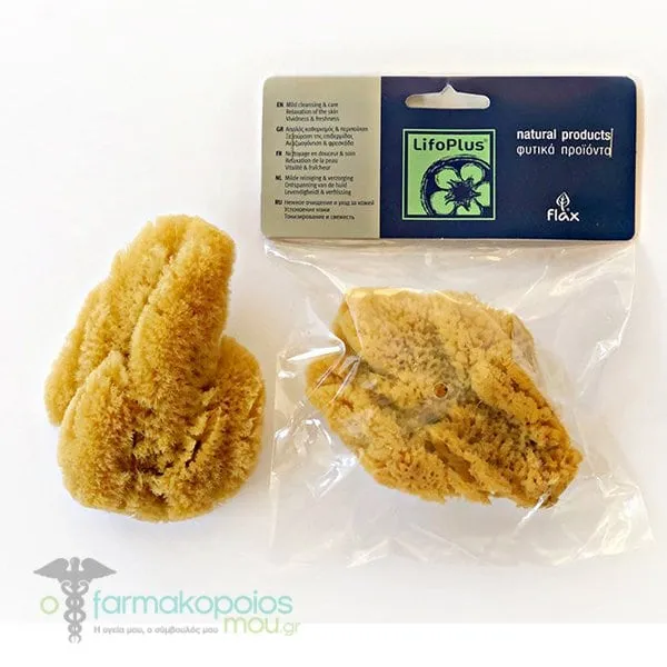 Lifoplus Natural Sea Sponge for Body, 1pc