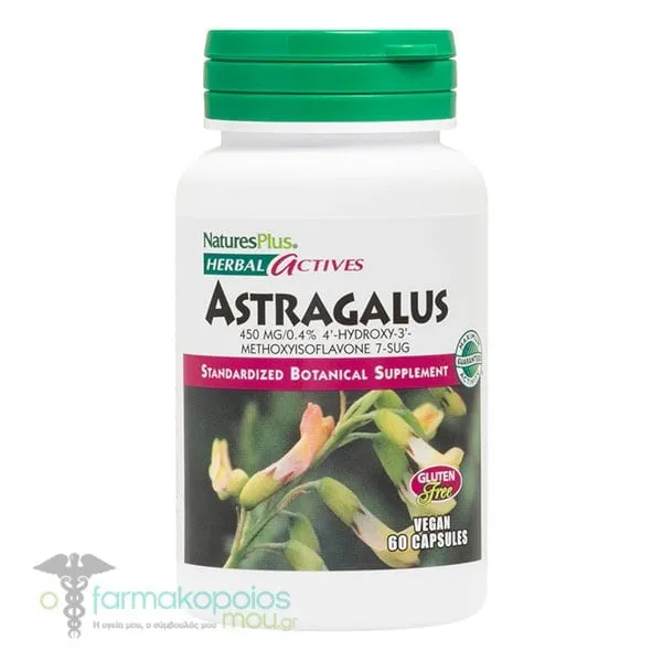 Natures Plus Astragalus 450mg, 60vcaps