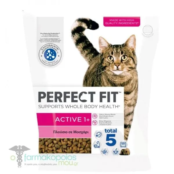 Perfect Fit Active 1+ Complete Dry Cat Food Beef, 750g