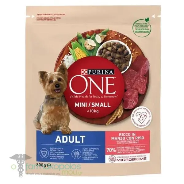 Purina One Mini Dog Adult Food with Beef & Rice, 800g
