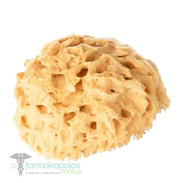 Real Care Natural Sponge, 1pc