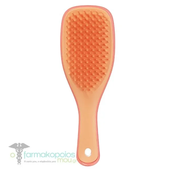 Tangle Teezer Wet Detangling Hairbrush Travel Size, 1pc