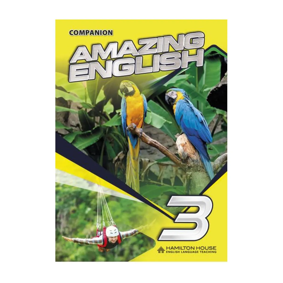 Amazing English 3 Companion
