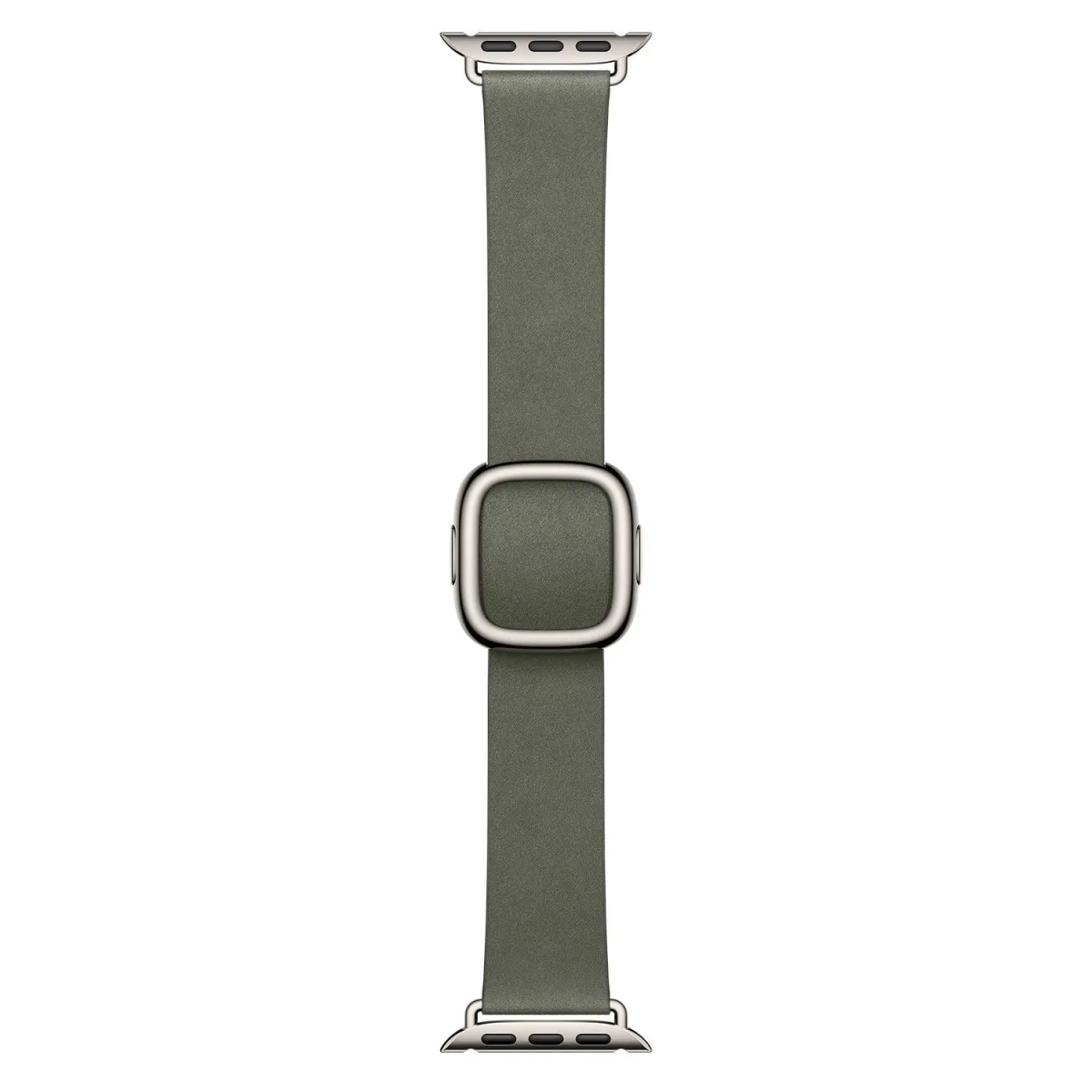 Apple 42mm Sage Gray Modern Buckle - Large