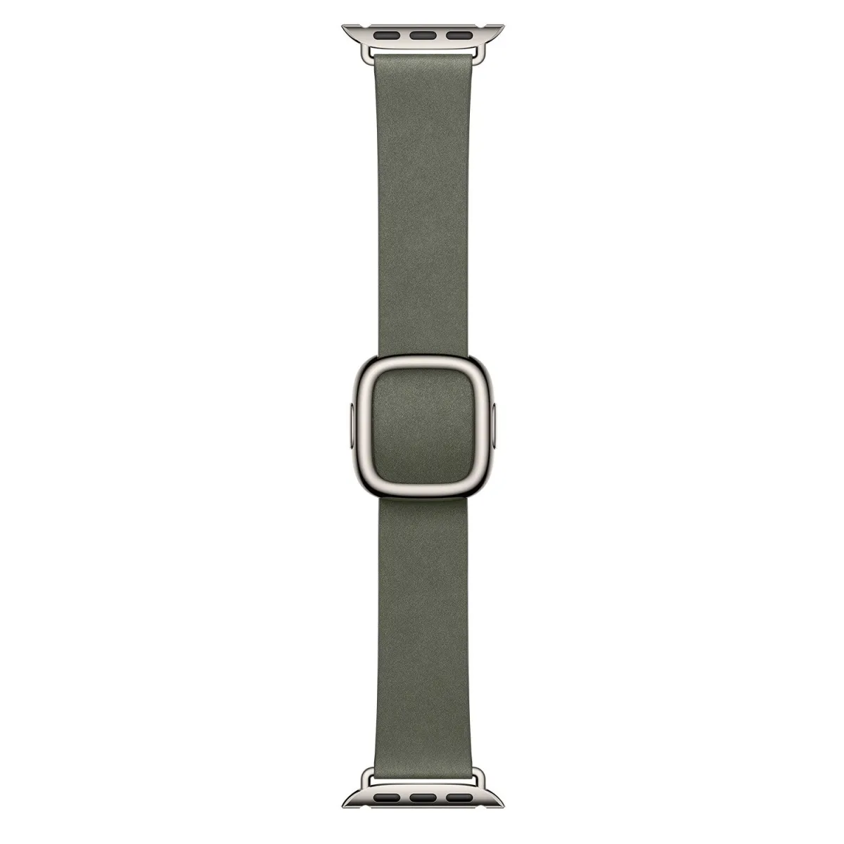 Apple 42mm Sage Gray Modern Buckle - Medium