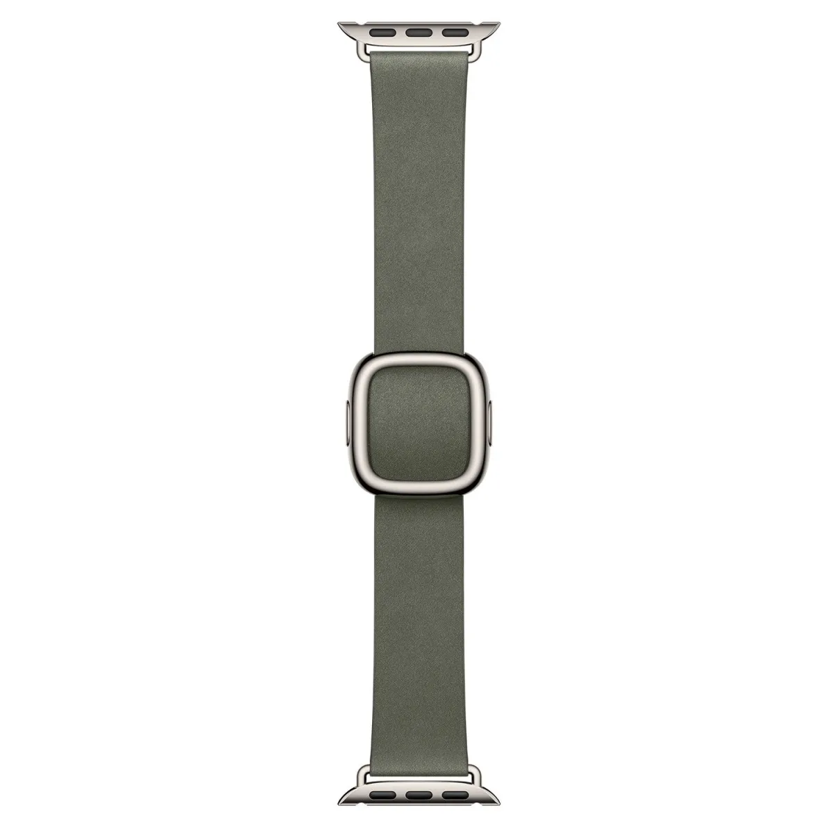 Apple 42mm Sage Gray Modern Buckle - Small
