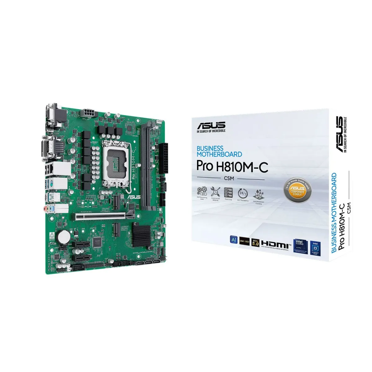 Asus Motherboard H810M PRO C CSM (H810/1851/DDR5)