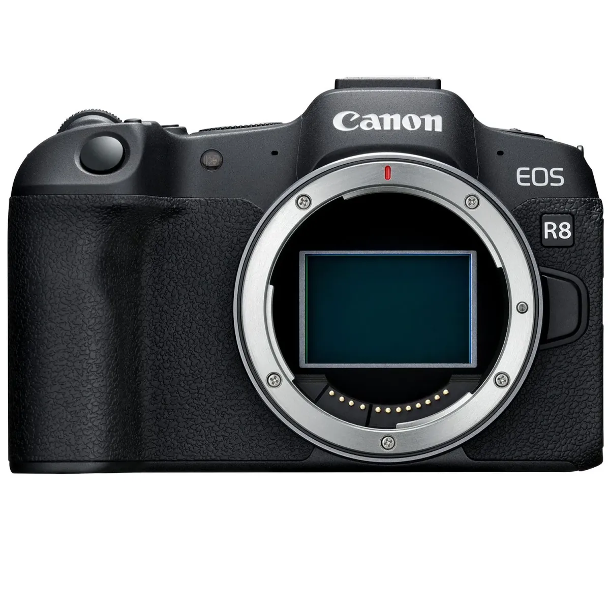Canon Mirrorless EOS R8 body