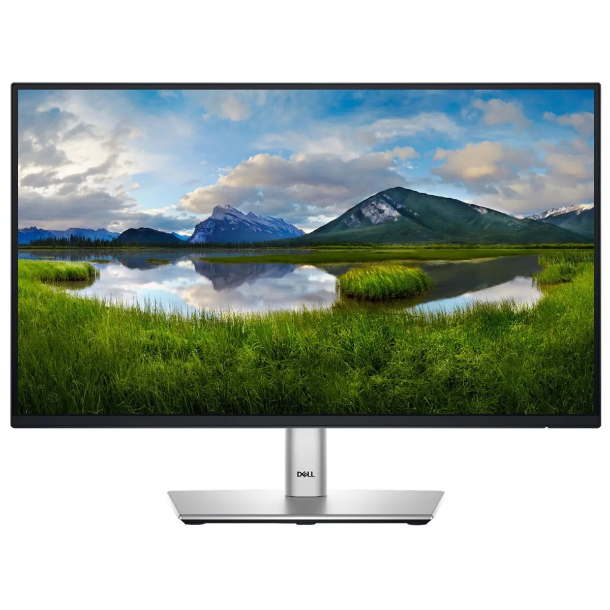 Dell Monitor 22" P2225H
