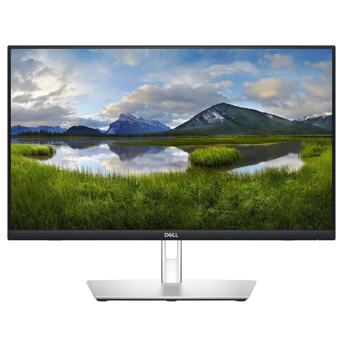 Dell Monitor 24" P2424HT