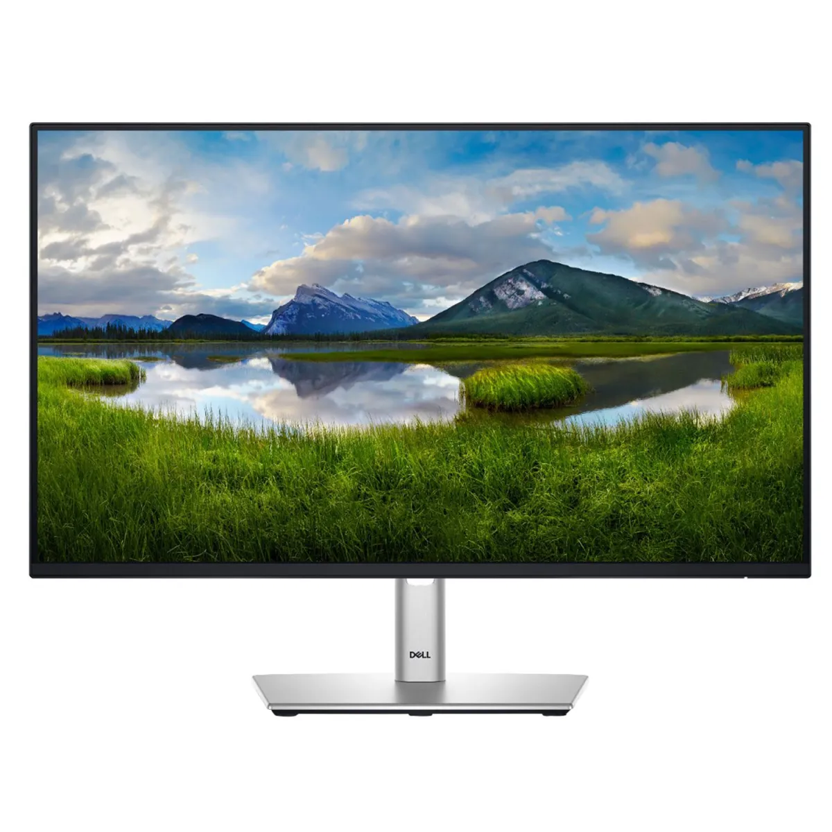 Dell Monitor 24" P2425H