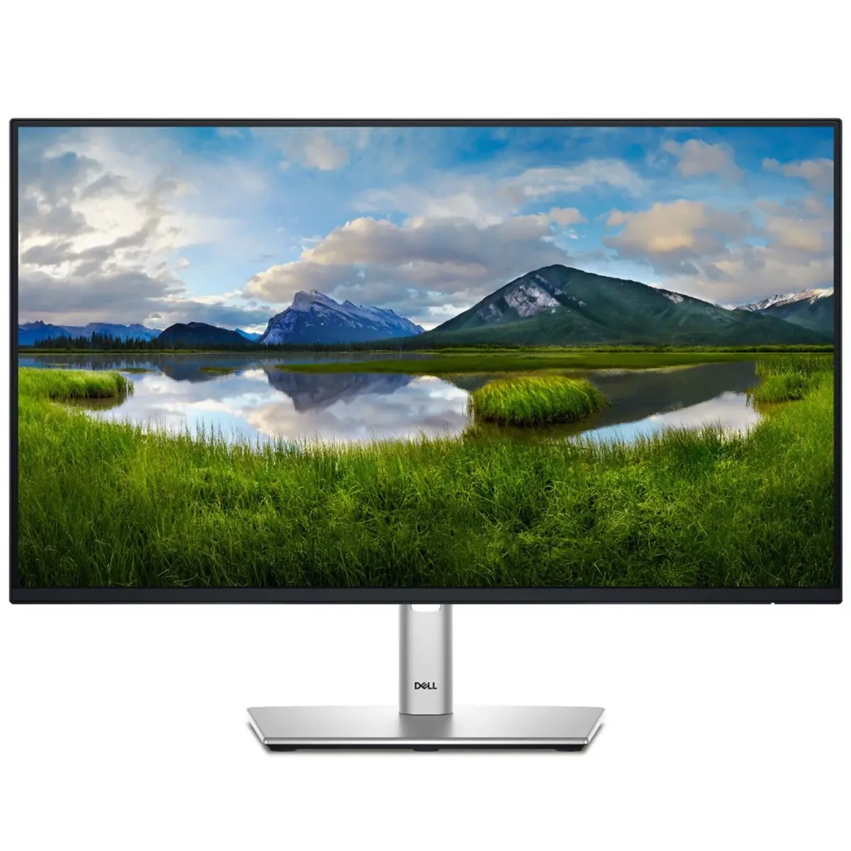 Dell Monitor 24" P2425HE