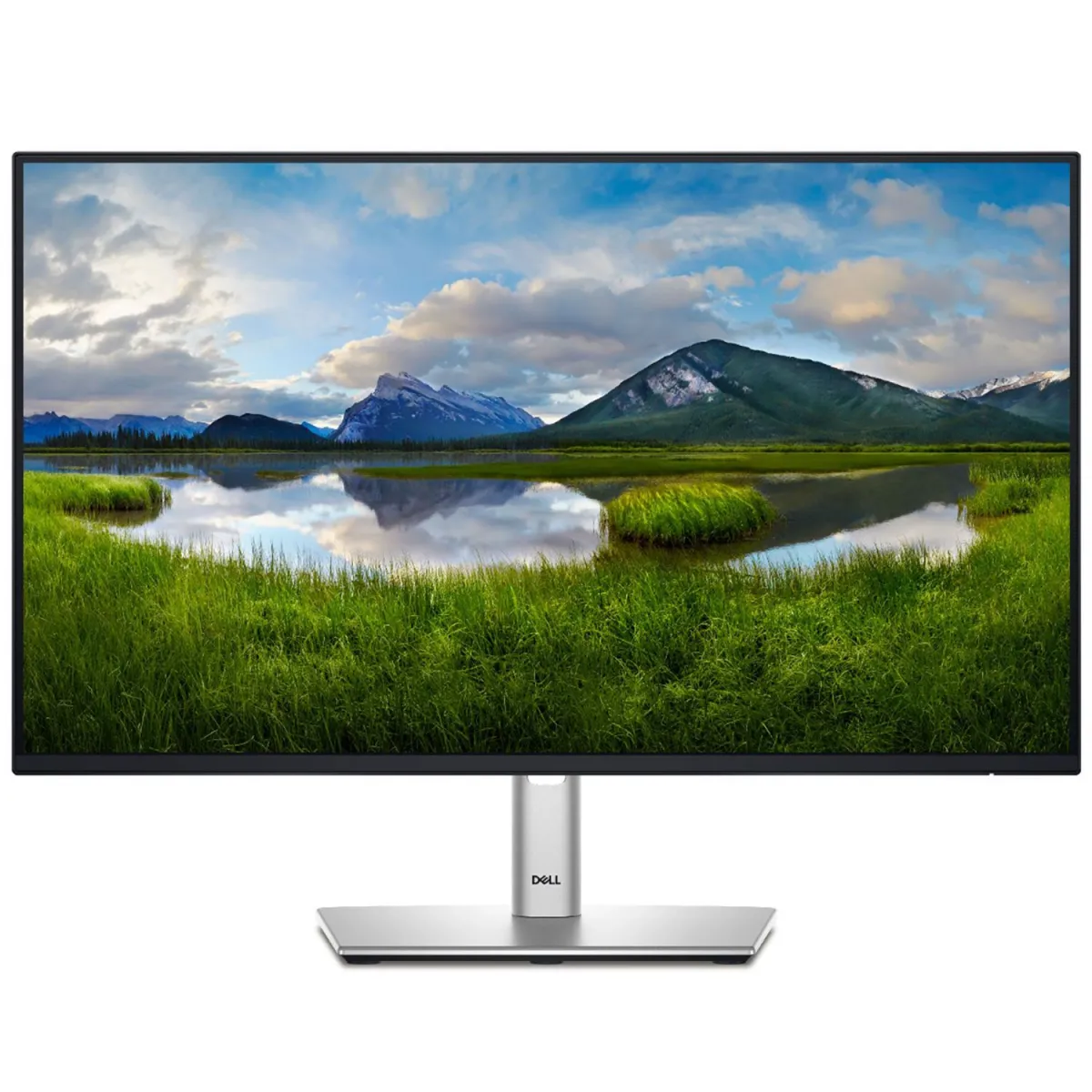 Dell Monitor 24" P2425HE