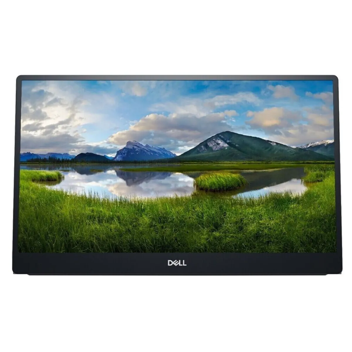 Dell Portable Monitor 14" P1424H