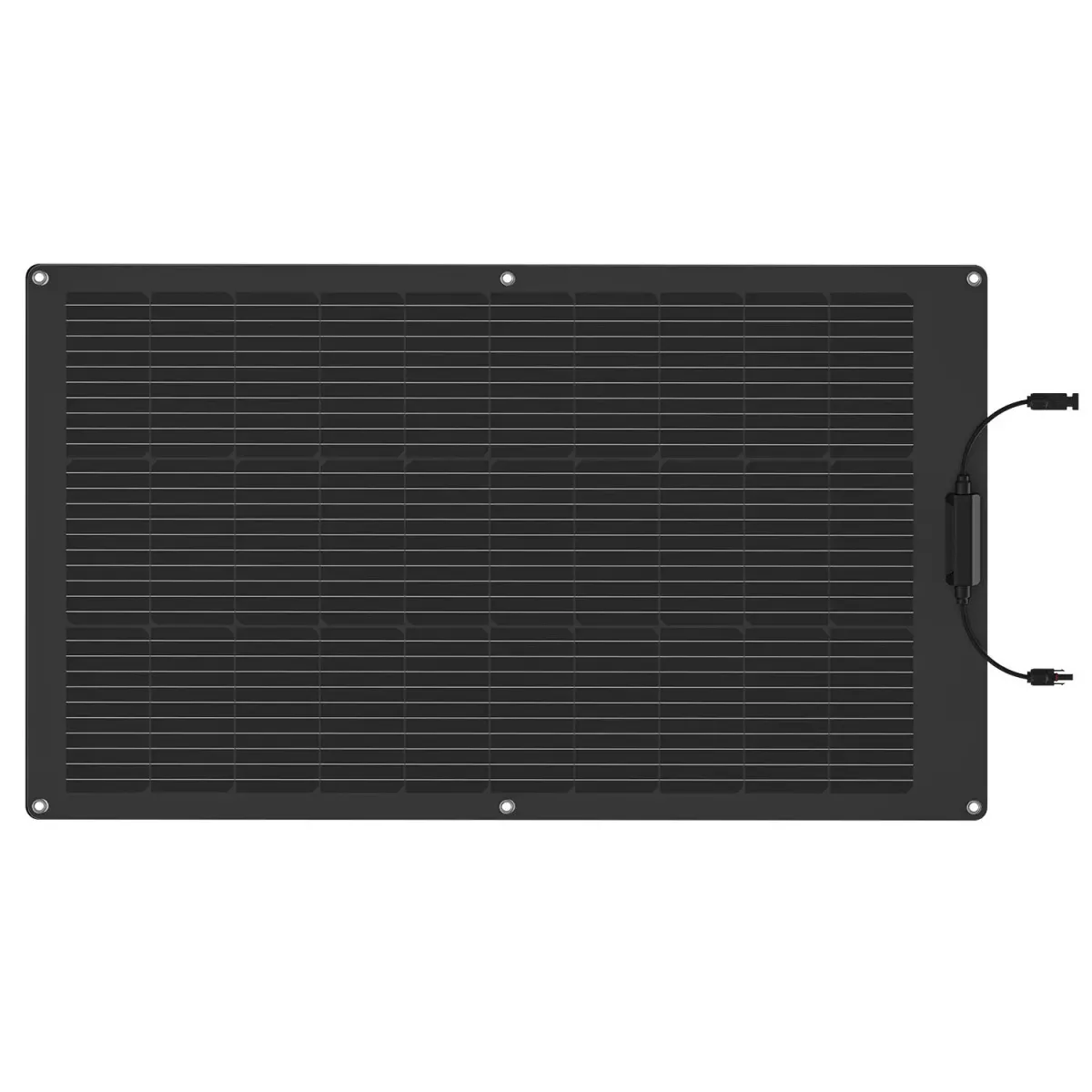 EcoFlow 100W Solar Panel (Flexible)