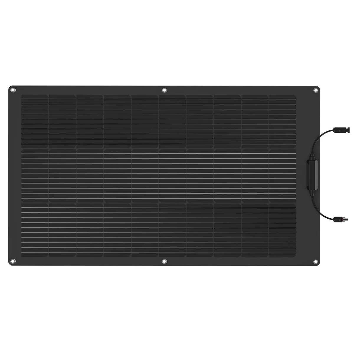 EcoFlow 100W Solar Panel (Flexible)
