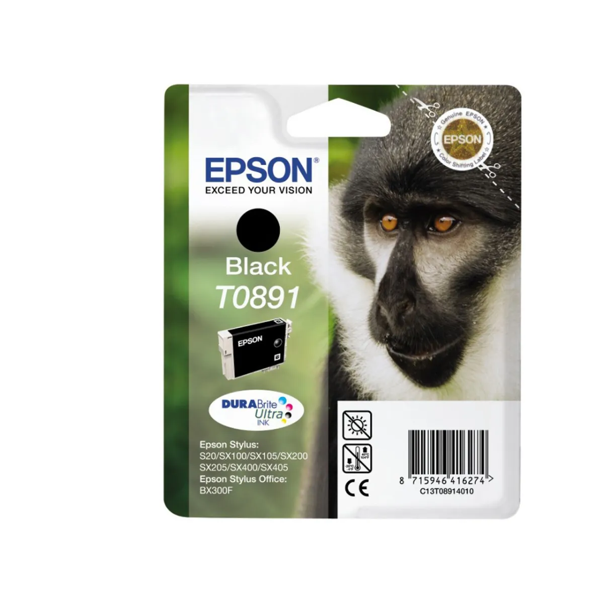 Μελάνι Epson T0891 Black