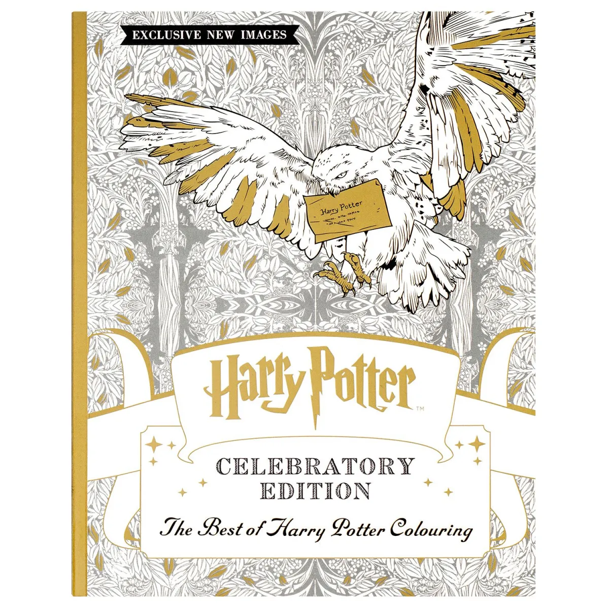 Βιβλίο Ζωγραφικής Harry Potter Celebratory Edition