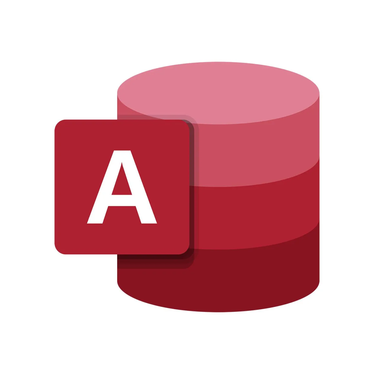 Microsoft Access 2021 Perpetual