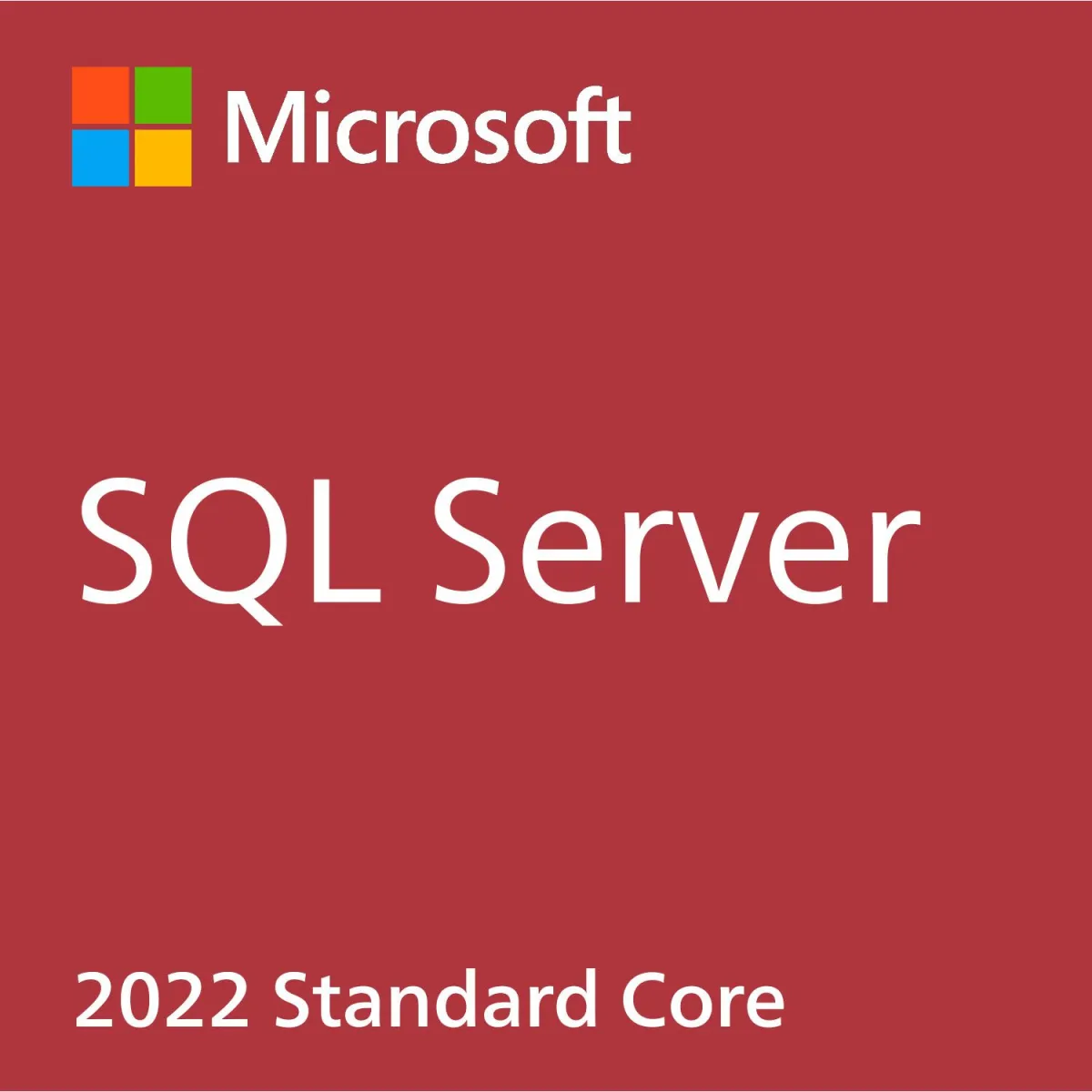 Microsoft SQL Server Standard 2022 Perpetual