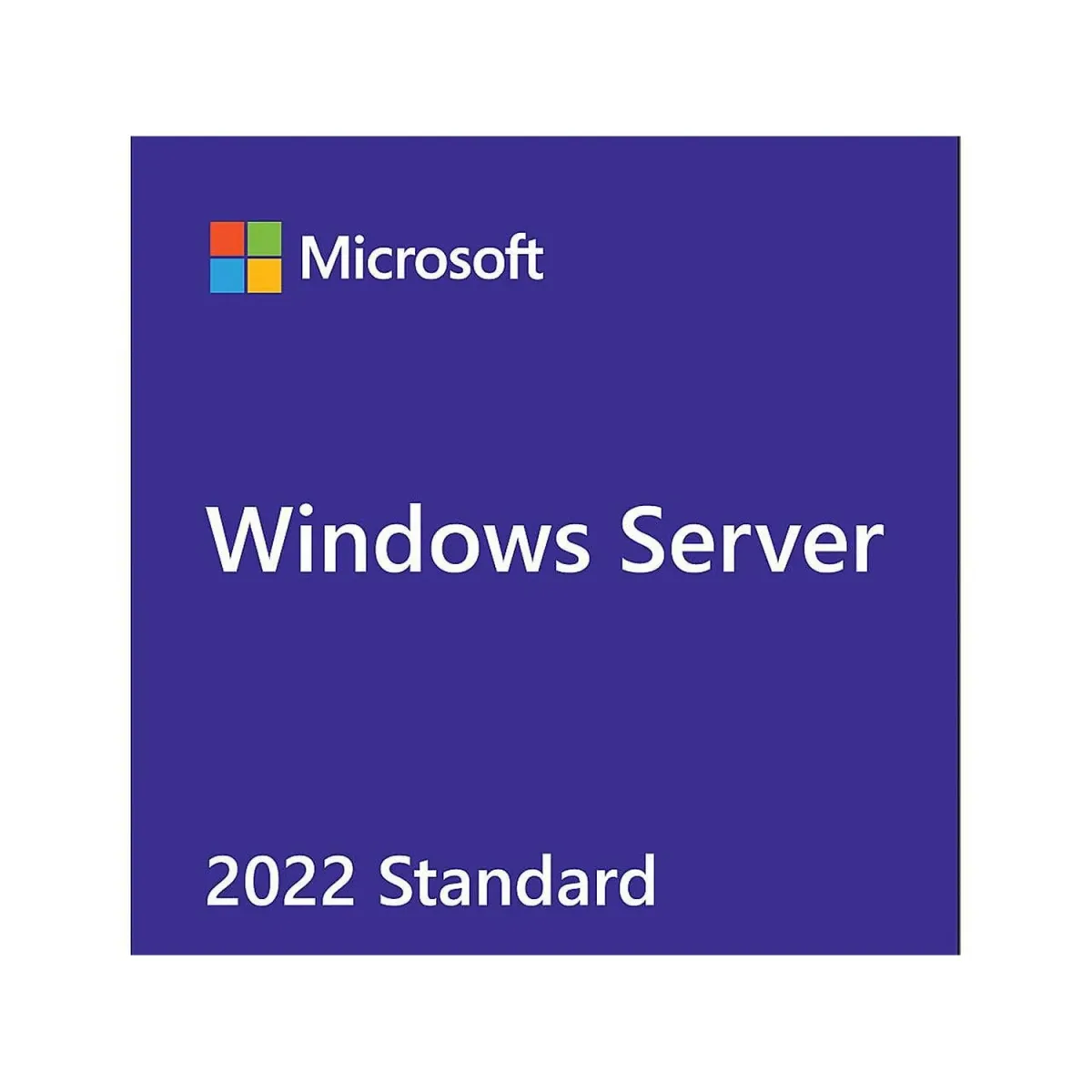 Microsoft Windows Server Standard 2022 Perpetual