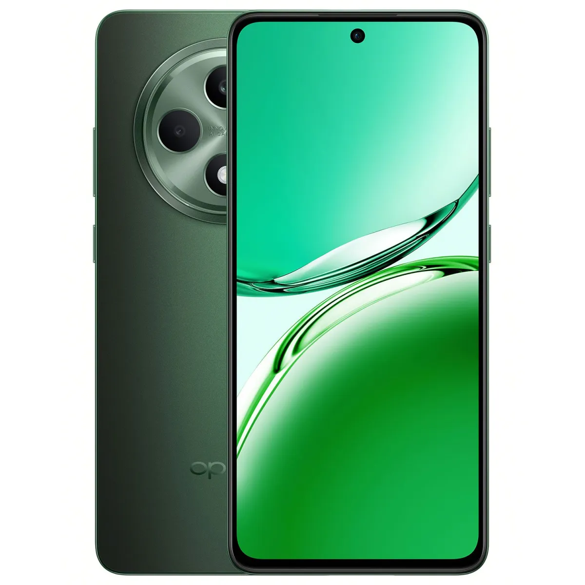 OPPO Reno12 FS 12/512GB Black Green