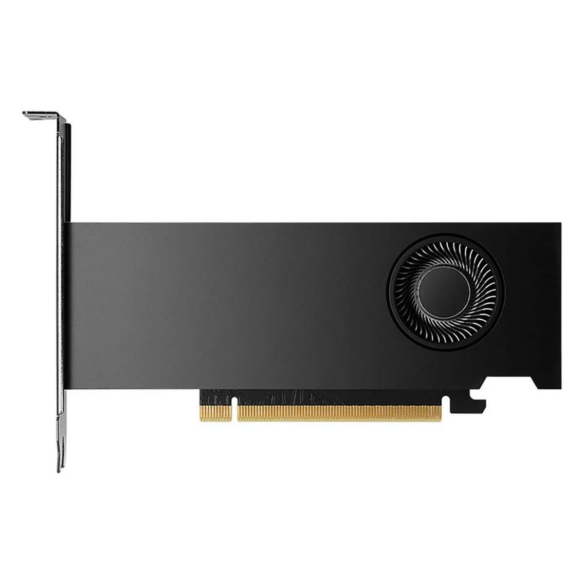 PNY VGA Nvidia RTX 2000 Ada Generation LowProfile 16 GB
