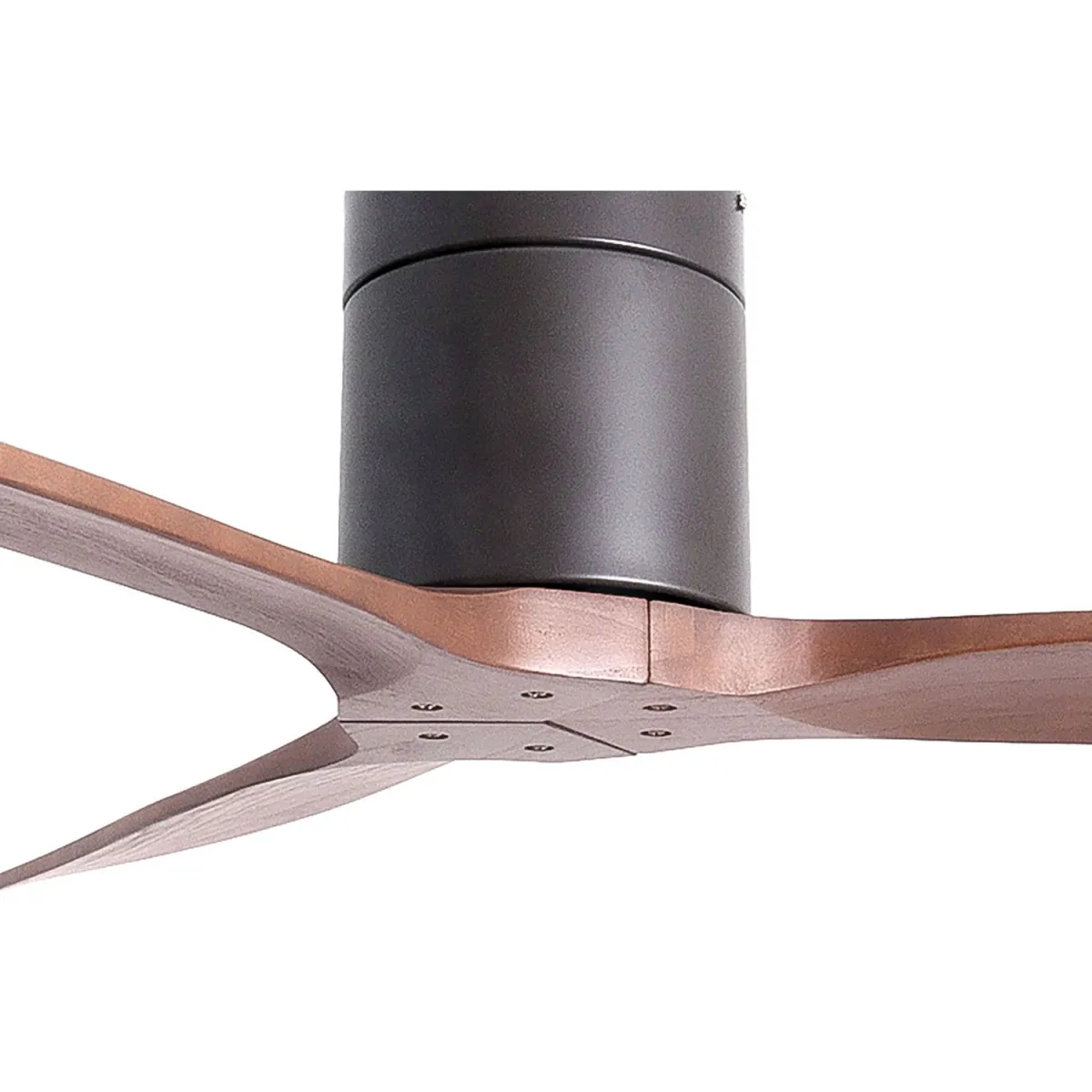 Primo Ceiling PRCF-80665 DC R/C 132cm