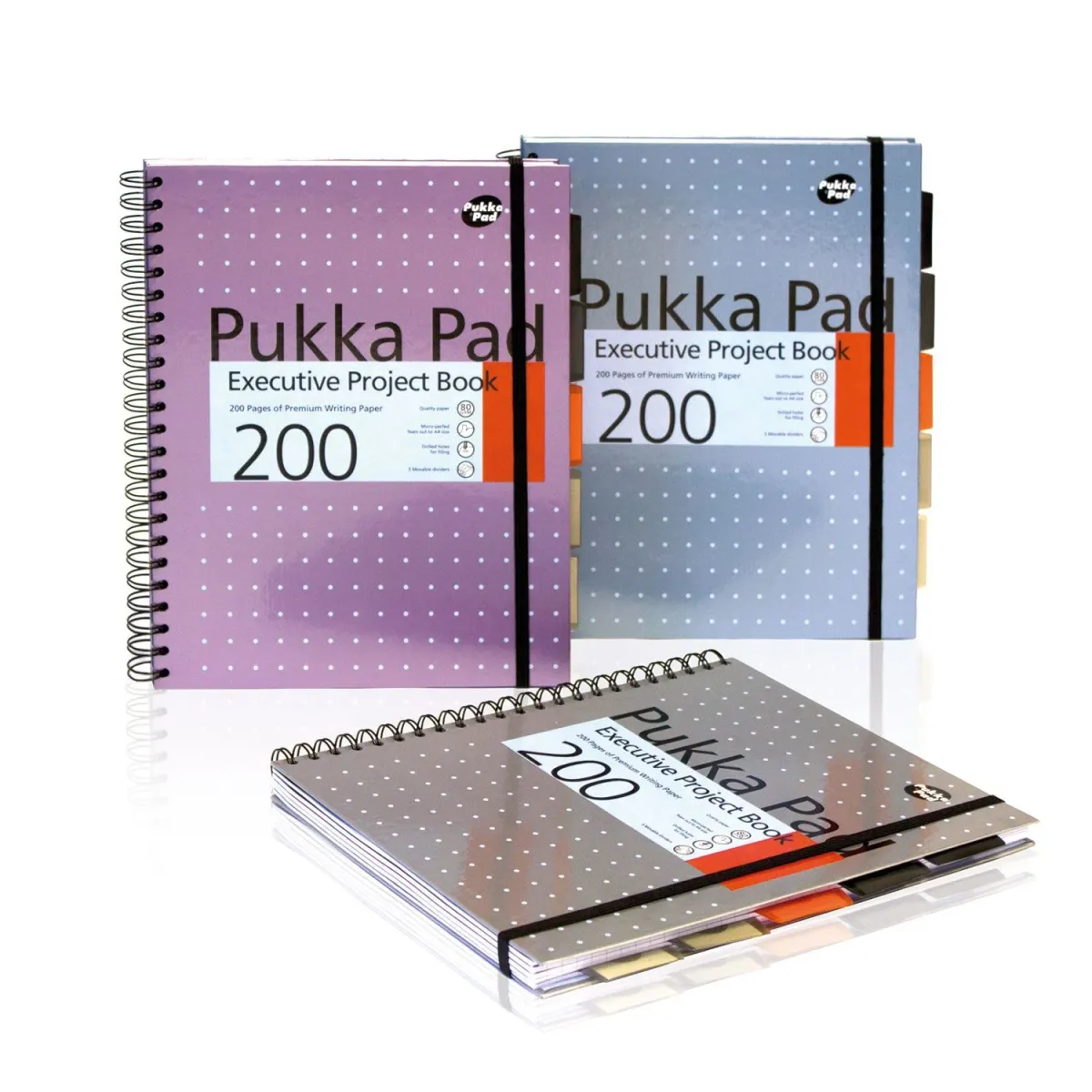 Pukka Τετράδιο Σπιράλ Executive Α4 5 Θεμάτων 100 Φύλλα