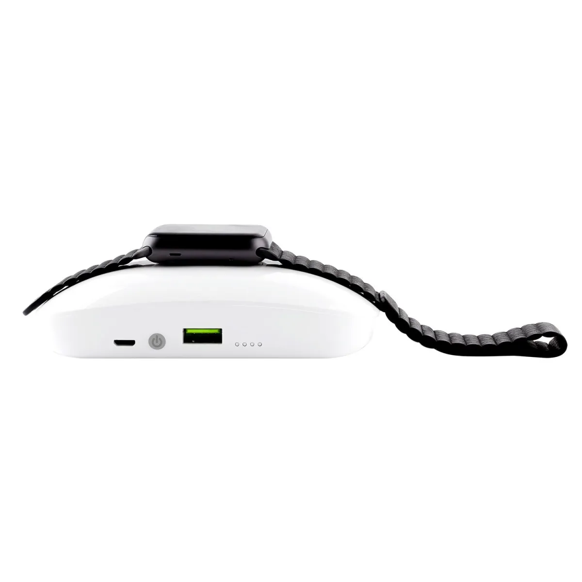 Puro Premium Fast Charger Dual 4000 mah