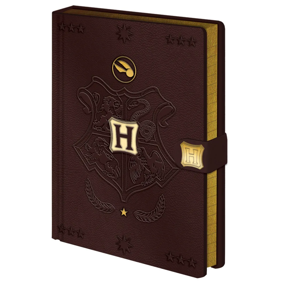 Pyramid Harry Poter - Quidditch A5 Notebook
