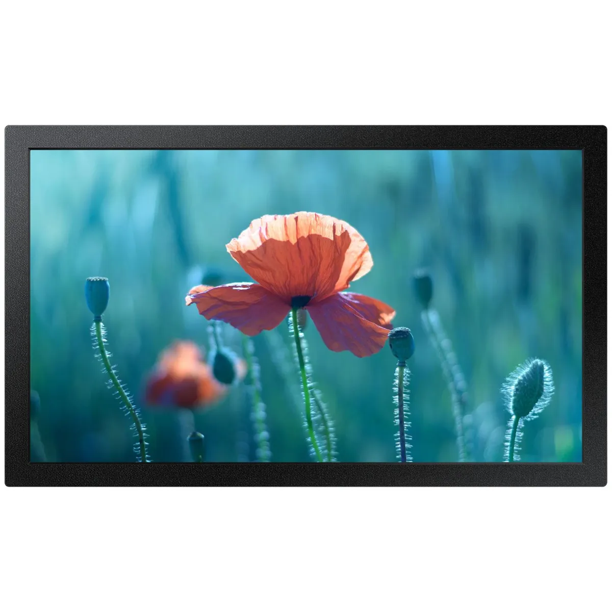 Samsung Digital Signage 23.8" QB24R
